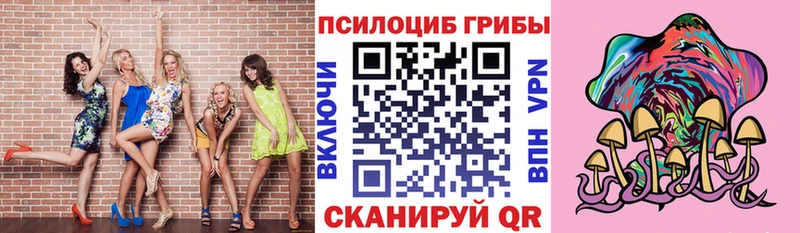blacksprut ТОР  Харабали  Галлюциногенные грибы Psilocybe 